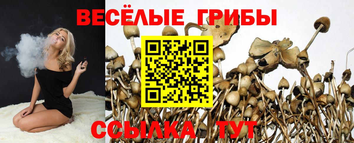 Псилоцибиновые грибы ЛСД  Вход с VPN  Псилоцибиновые грибы прущие грибы  Озёры 